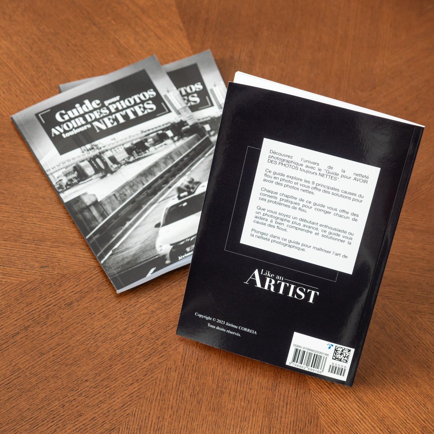 Guide pour AVOIR DES PHOTOS toujours NETTES - Like an Artist