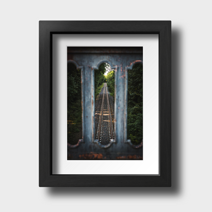 Tirage photo Inspiration "Railroad lost in the woods" - Nature - The Artistic Way